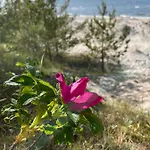 Schellter 62 Przy Wydmach - By 5d Lägenhet Rogowo (Gryfice)