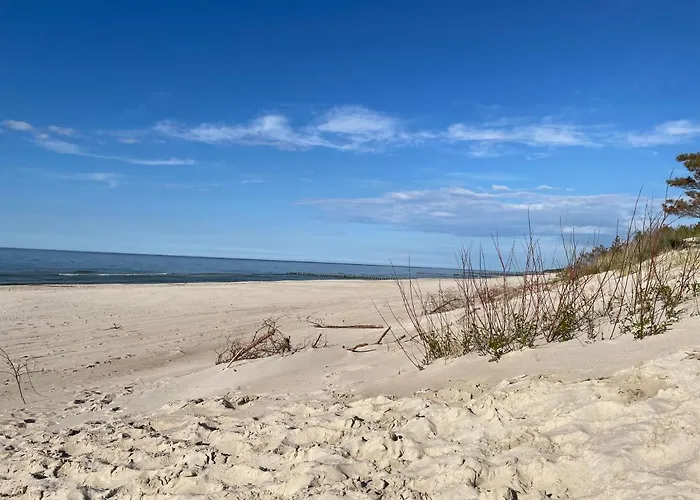 Апартаменты Schellter 62 Przy Wydmach - By 5d Рогово